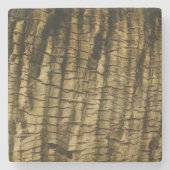 Palm Tree Bark Steinuntersetzer (Vorderseite)