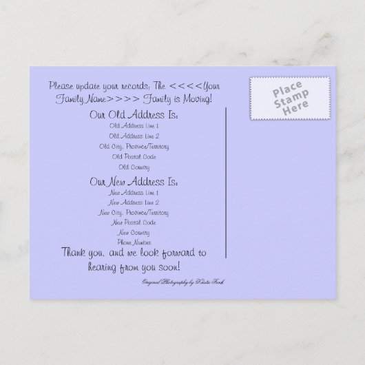 Palm Tree Beach; Adresswechsel Ankündigungspostkarte (Rückseite)