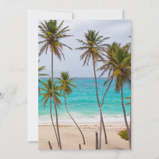 Palm Tree Beach Einladung (Rückseite)