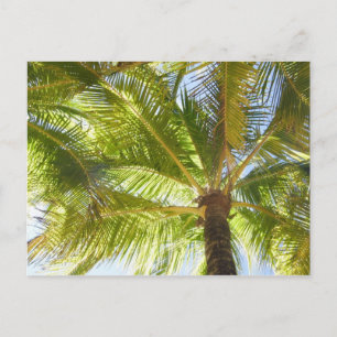Palm Tree Beach Postcard Postkarte