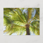 Palm Tree Beach Postcard Postkarte (Vorderseite)