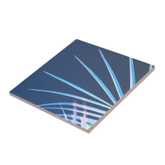 Palm Tree Blätter Minimalismus Sketch Fliese (Seite)