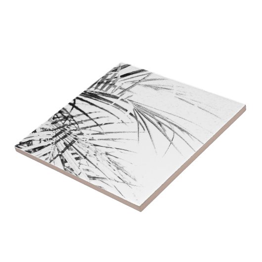 Palm Tree Blätter Minimalismus Sketch Fliese (Seite)