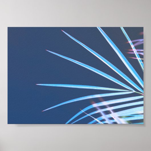 Palm Tree Blätter Minimalismus Sketch Poster (Vorne)