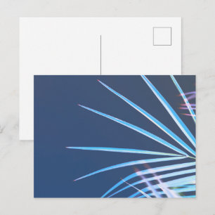 Palm Tree Blätter Minimalismus Sketch Postkarte