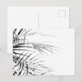 Palm Tree Blätter Minimalismus Sketch Postkarte (Vorne/Hinten)