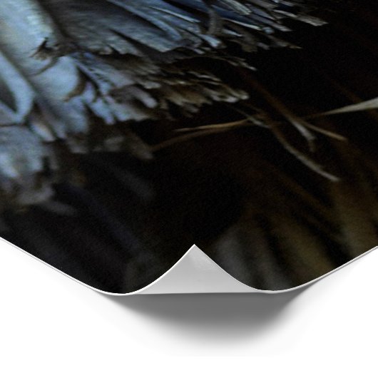 Palm Tree Blätter Poster (Ecke)