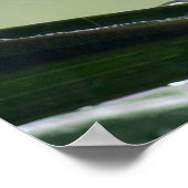 Palm Tree Blätter Raindrops Poster (Ecke)