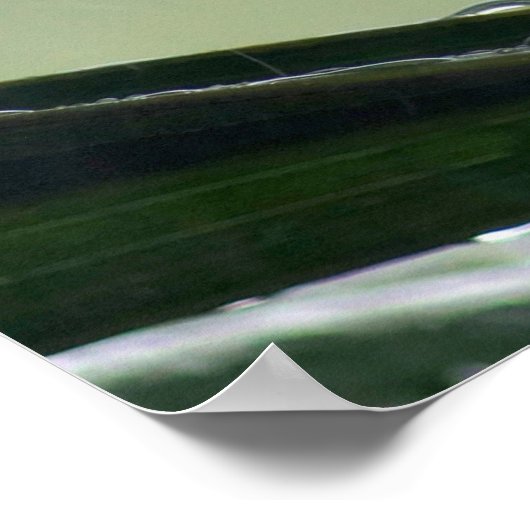 Palm Tree Blätter Raindrops Poster (Ecke)