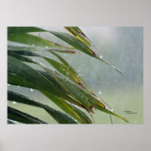 Palm Tree Blätter Raindrops Poster (Vorne)