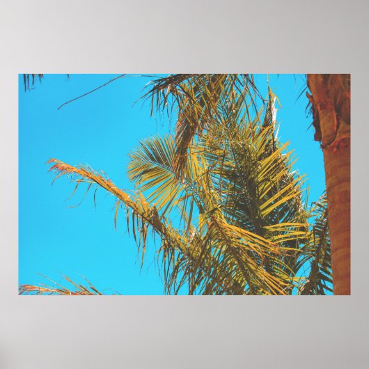 Palm Tree Blätter Turquoise Sky Poster (Vorne)