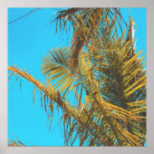 Palm Tree Blätter Turquoise Sky Poster (Vorne)