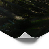 Palm Tree Boulevard Poster (Ecke)