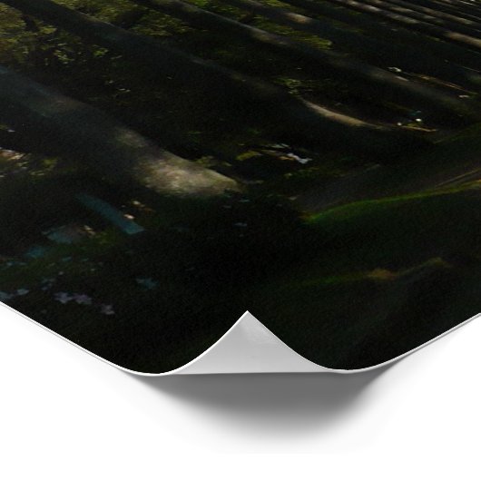 Palm Tree Boulevard Poster (Ecke)