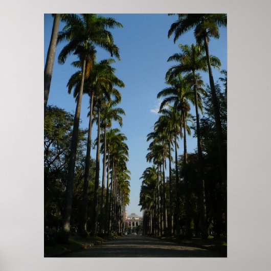 Palm Tree Boulevard Poster (Vorne)