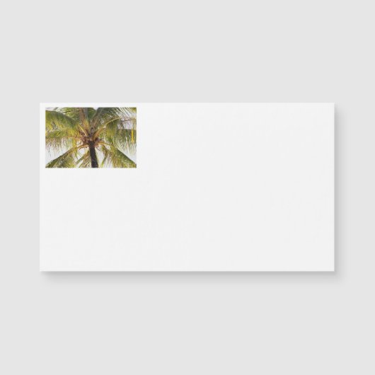Palm Tree Business Cards Magnetkarte (Vorderseite)