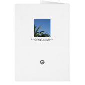 Palm Tree Card (Hinten)