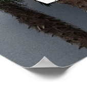 Palm Tree Cluster Foto Family Tree Poster (Ecke)