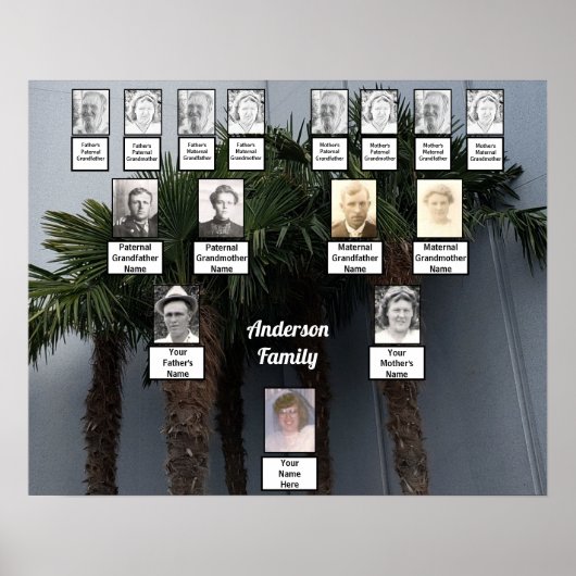 Palm Tree Cluster Foto Family Tree Poster (Vorne)
