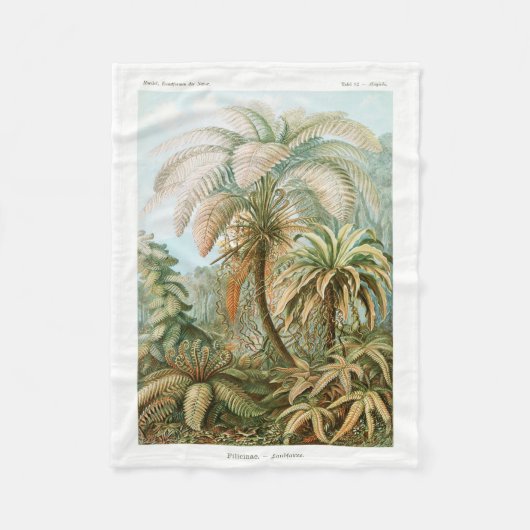 Palm Tree Ernst Haeckel Fleecedecke (Vorderseite)