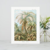 Palm Tree Ernst Haeckel Papiere (Stehend Vorderseite)