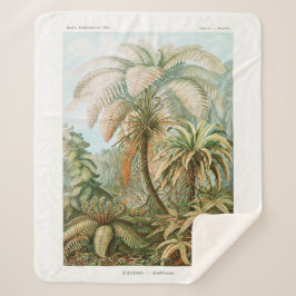 Palm Tree Ernst Haeckel Sherpadecke