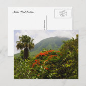 Palm Tree, Flamboyant Tree, Karibischer Vulkan Pea Postkarte (Vorne/Hinten)