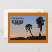 Palm Tree Florida Postcard Postkarte (Vorne/Hinten)