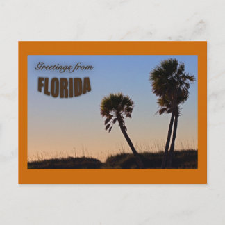 Palm Tree Florida Postcard Postkarte