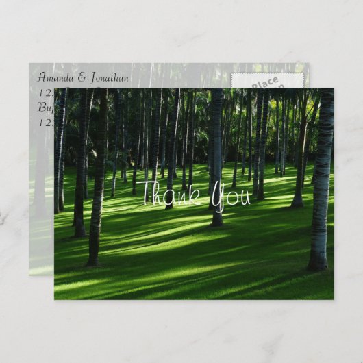 Palm Tree Forest Danke Postkarte (Vorne/Hinten)