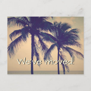 Palm Tree Foto verschieben Postkarten für neue Zuh