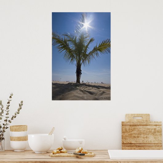 Palm Tree, Foto von: Joe Dantone Poster (Küche)