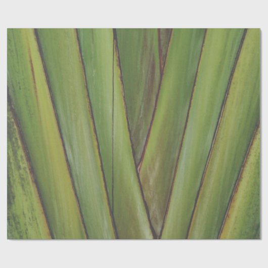 Palm Tree Geschenkpapier (Flach)