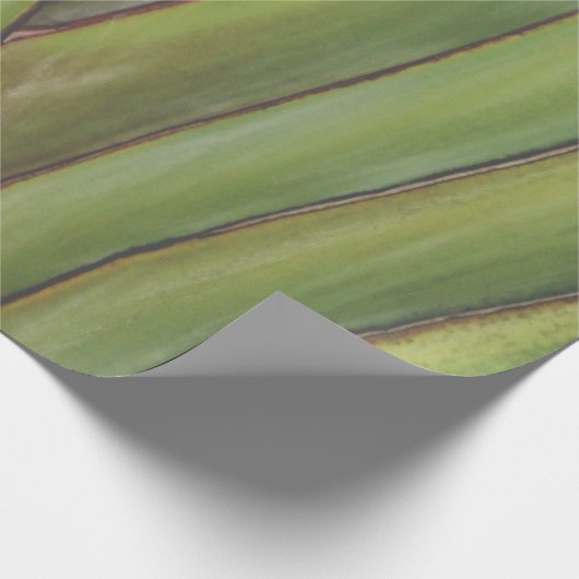 Palm Tree Geschenkpapier (Ecke)