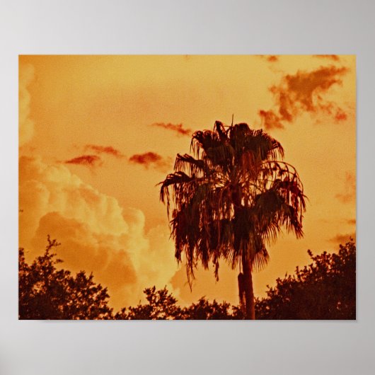 Palm Tree Golden Hour Poster (Vorne)
