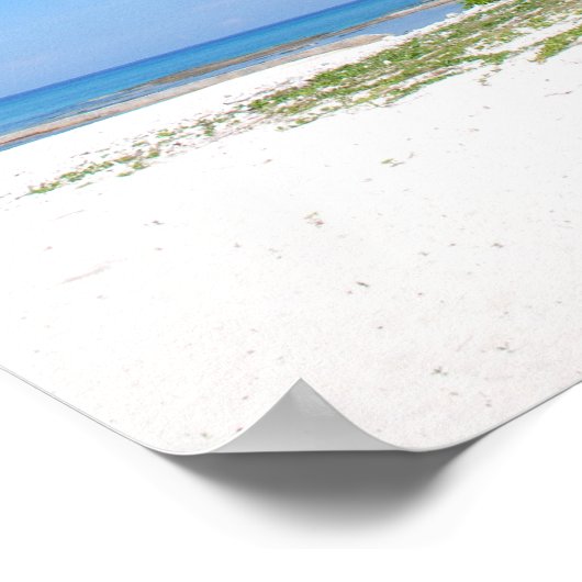 Palm tree, Grand Cayman, Canvas Print Poster (Ecke)