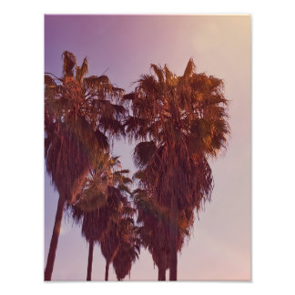 Palm Tree Heart Photo Fotodruck