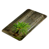 Palm Tree | Hongcun, China Magnet (Linke Seite)