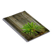 Palm Tree | Hongcun, China Notizblock (Rechte Seite)
