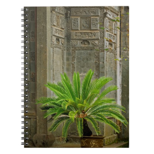 Palm Tree | Hongcun, China Notizblock (Vorderseite)