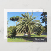 Palm Tree in Rom, Italien Postkarte (Vorne/Hinten)