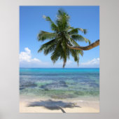 Palm Tree Island Poster (Vorne)