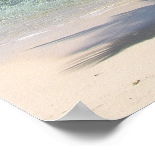 Palm Tree Island Poster (Ecke)