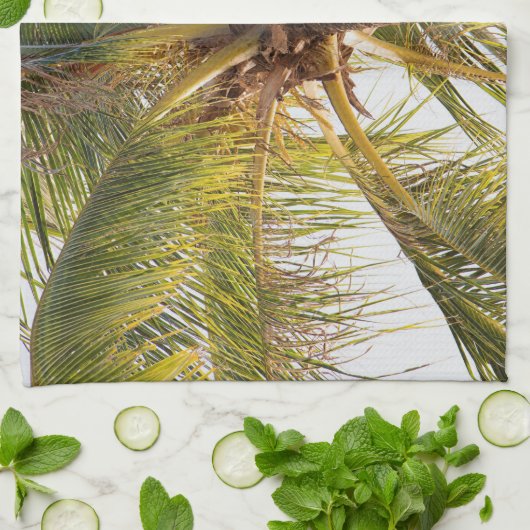Palm Tree Kitchen Handtücher (Gefaltet)