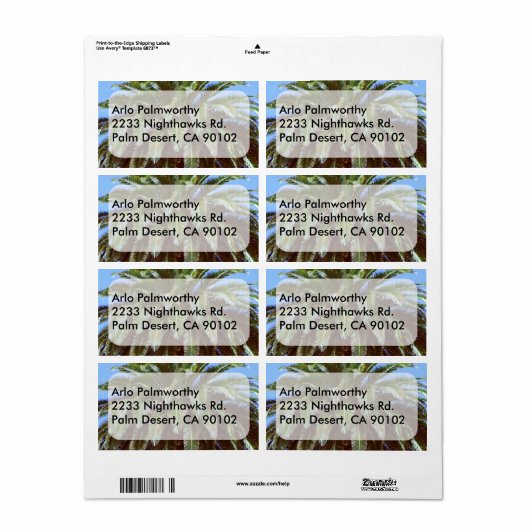 Palm Tree Label (Vorne)