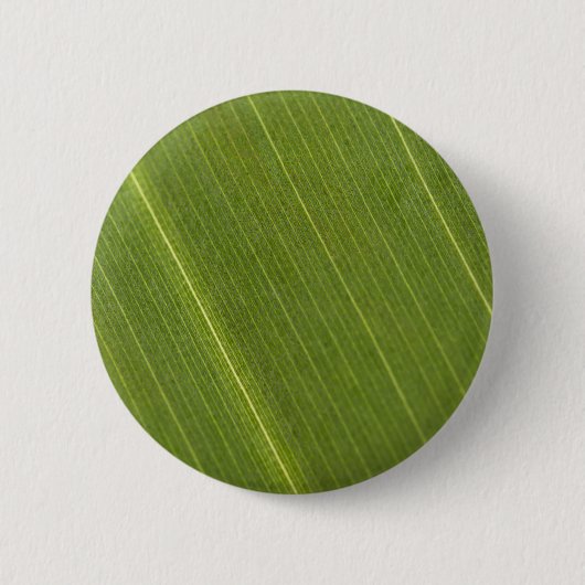 Palm Tree Leaf Button (Vorderseite)