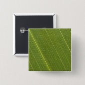 Palm Tree Leaf Button (Vorne & Hinten)