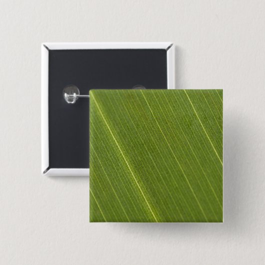 Palm Tree Leaf Button (Vorne & Hinten)