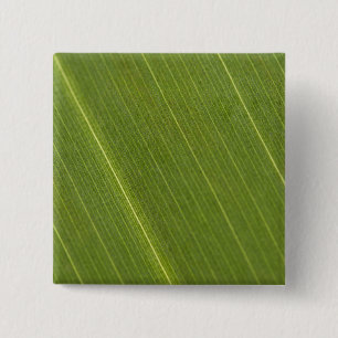 Palm Tree Leaf Button