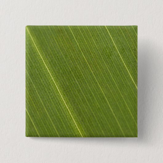 Palm Tree Leaf Button (Vorderseite)